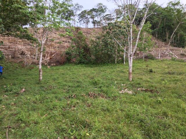 #11 - Terreno para Venta en Panamá - 8