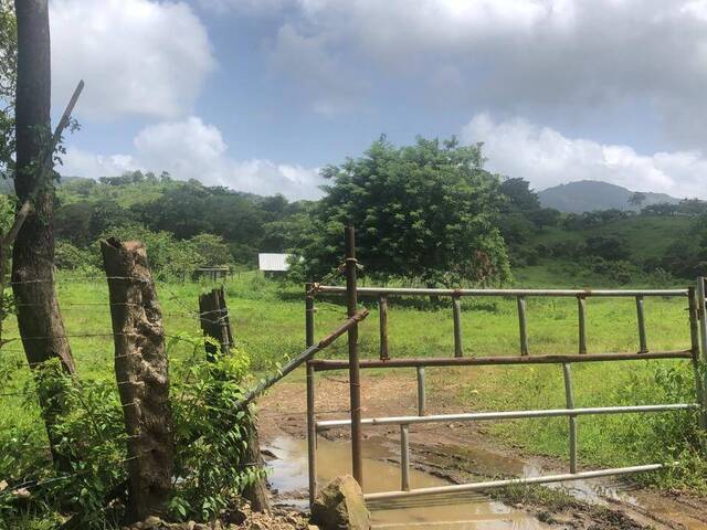 #34 - Finca para Venta en Panamá - 8