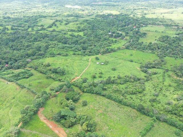 #34 - Finca para Venta en Panamá - 8