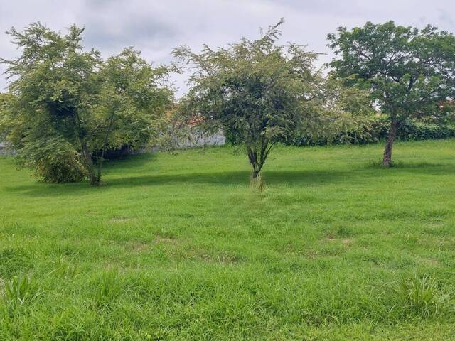 #39 - Terreno para Venta en Panamá - 8