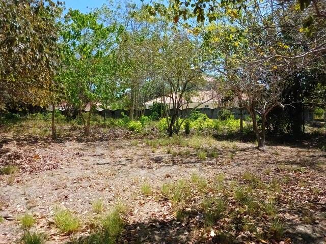 #44 - Finca para Venta en Panamá - 8 - 2