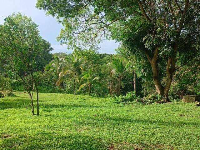 Venta en CERMEÑO - Panamá