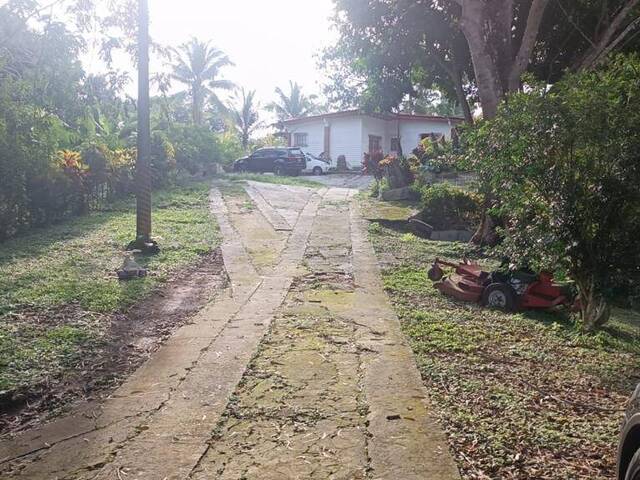 #53 - Finca para Venta en Panamá - 8 - 3